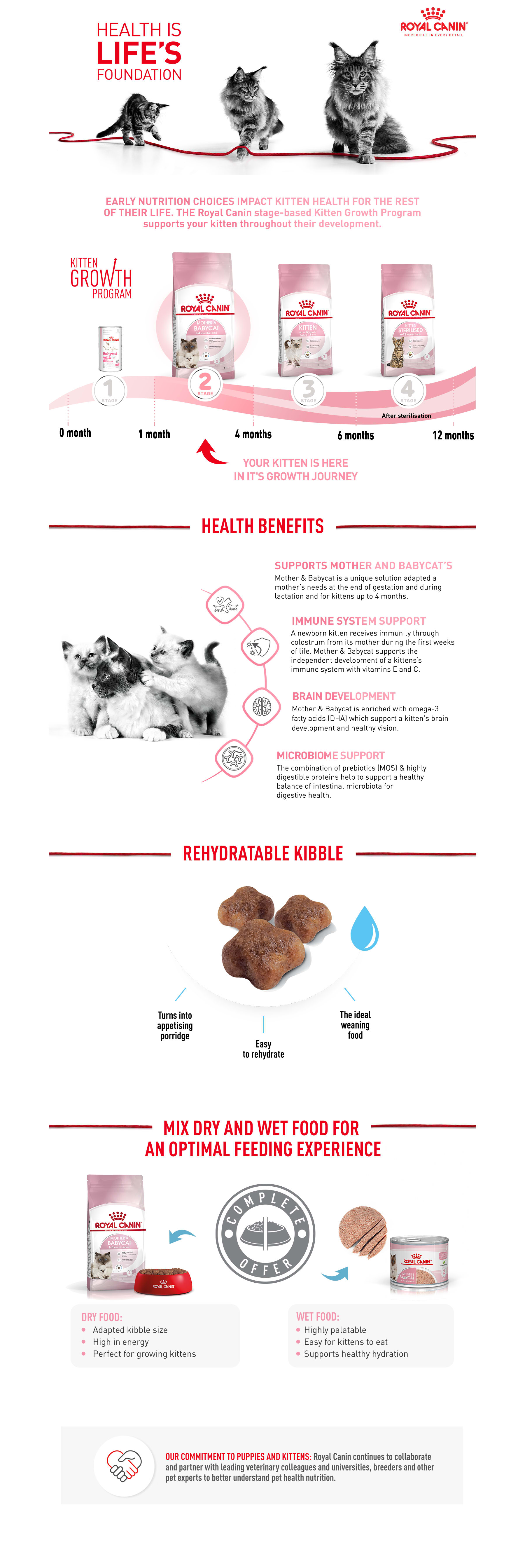 Royal canin how clearance much to feed kitten